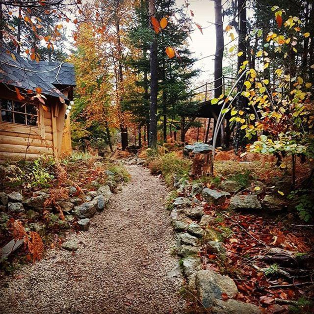 La Roche Aux Fees Bed & Breakfast Lapte Luaran gambar